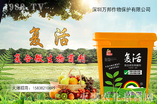 大棚油桃栽種后如何進(jìn)行管理，有什么方法要點？