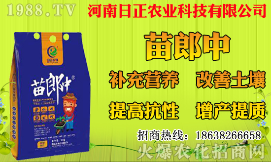 菠蘿種植多久結(jié)果?一年結(jié)幾次果?菠蘿種植技術(shù)要點(diǎn)!