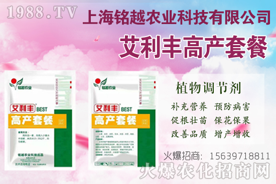 棉花吐絮是什么季節(jié)？常出現(xiàn)問題有哪些？棉花吐絮期管理要點！