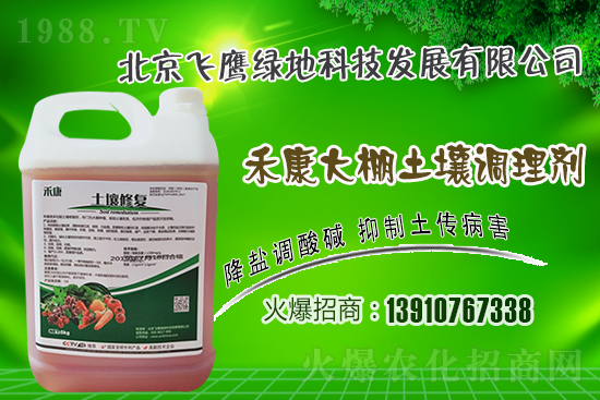 紫皮大蒜怎么種植？紫皮大蒜高產(chǎn)栽培技術(shù)！