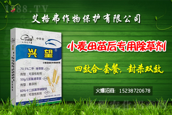 小麥除草劑價格行情2021年1月26日