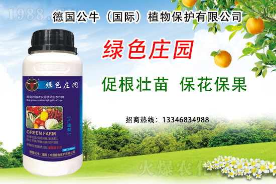 草莓著色不良到底是哪些原因？草莓著色不良又該如何避免？