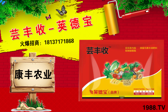 冬季要不要給小麥澆越冬水？小麥冬灌什么時(shí)候合適？