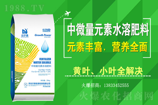 黃花菜該怎么種植？黃花菜種植過(guò)程需注意哪些問(wèn)題？
