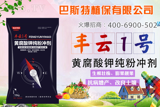 新品上市，定金翻倍！1000定金抵2000，超值優(yōu)惠，限時搶定...