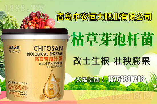 枯草芽孢桿菌真的是“菌中”嗎？枯草芽孢桿菌具體作用你了解嗎？
