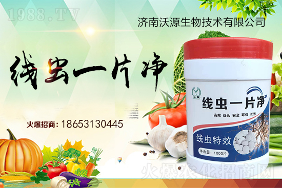 根結(jié)線蟲難防治，專治線蟲“線蟲一片凈”