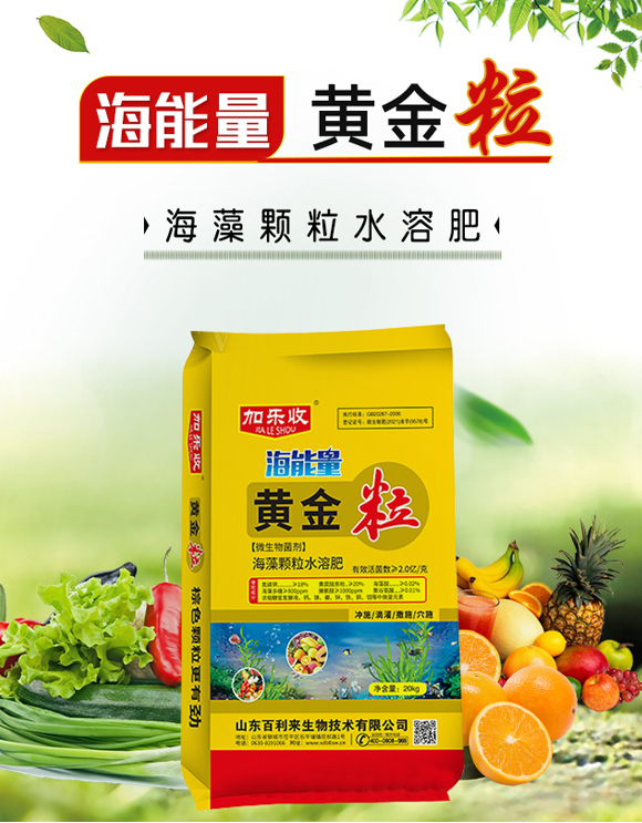 �S����-ɽ�|������(l��i)����_01