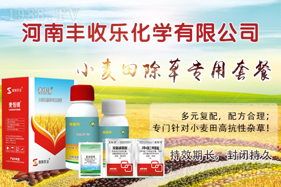 小麥田怎樣除草更？該怎么選用除草劑？