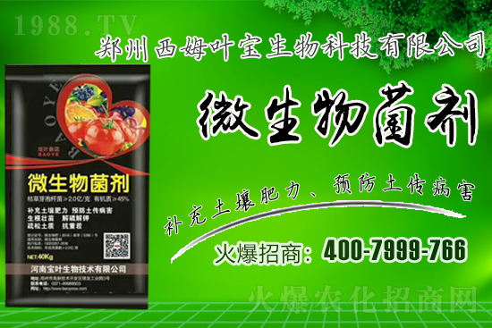 春季適合露地栽培的蔬菜品種有哪些？有哪些種植注意事項(xiàng)？