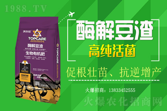 紫蘇種植怎樣管理？紫蘇田間除草及施肥技術(shù)！