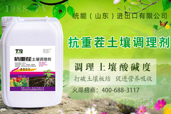 板栗種植怎么選苗子？板栗種植管理要點！