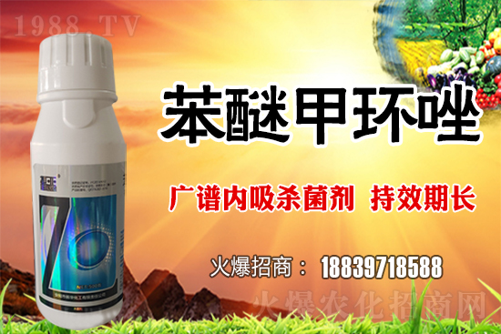 倒春寒風(fēng)險加大，如何做好冬小麥防護工作？