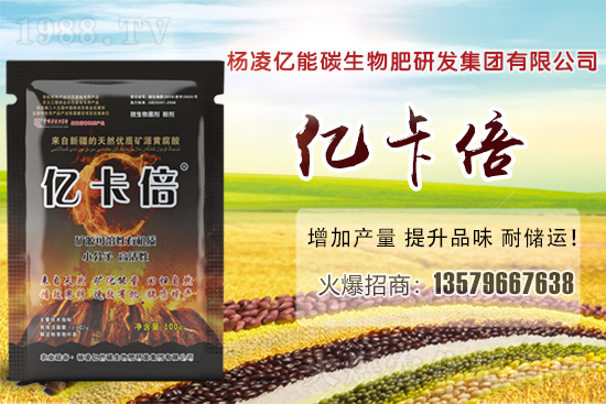 菠蘿蜜產(chǎn)地在我國哪些省份？菠蘿蜜有哪些常見品種？