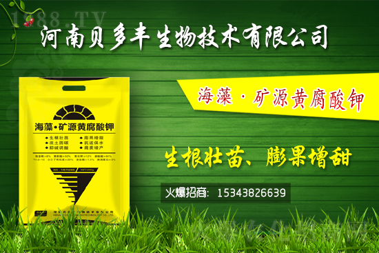 果樹黃化的原因是缺鐵嗎？果樹黃化噴施硫酸亞鐵怎么樣？