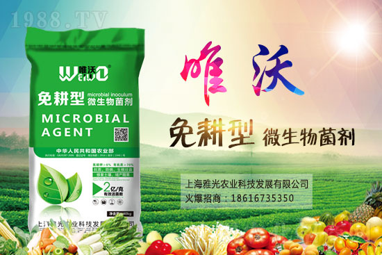 免耕菌劑