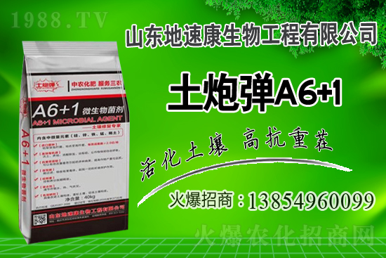    合作關(guān)系再升華，山東地速康與1988.TV開啟新篇章！