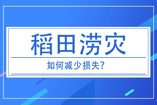 稻田澇災(zāi)發(fā)生后，如何減少損失？