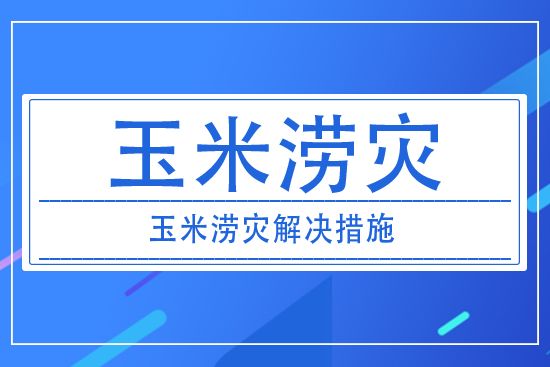 澇災對玉米產量有什么影響？玉米澇災采取措施解決？