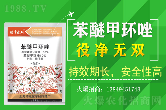 【農(nóng)技】注意！今年雨水多，玉米頂腐病防治要點