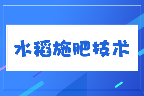 水稻施肥技術(shù)