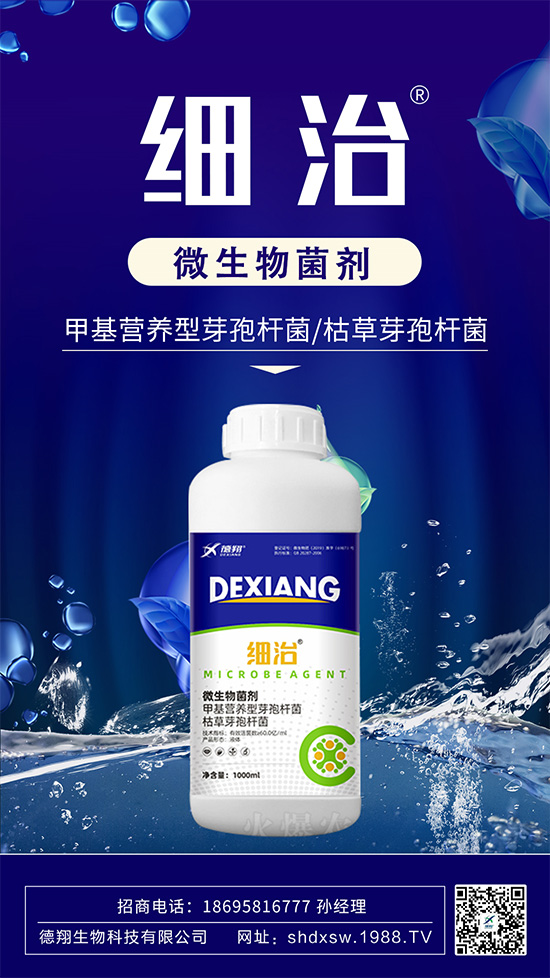 如何有效防治柑橘瘡痂??？柑橘瘡痂病為害及防治藥劑推薦！
