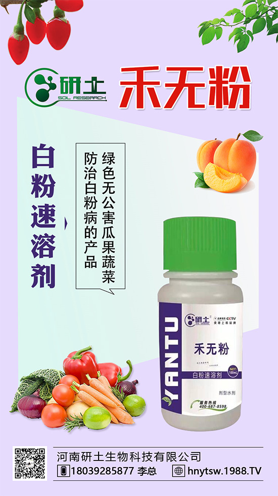 葡萄白粉病即將爆發(fā)！如何巧妙分辨白粉??？