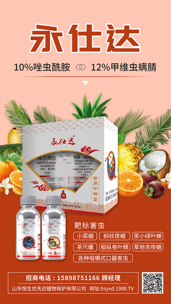 小菜蛾為何防治難？小菜蛾危害癥狀及防治措施！
