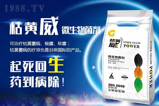 枯黃萎、立枯等病害怎樣滅殺？用它就夠了！