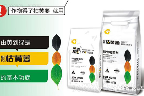 枯黃萎、立枯等病害怎樣滅殺？用它就夠了！