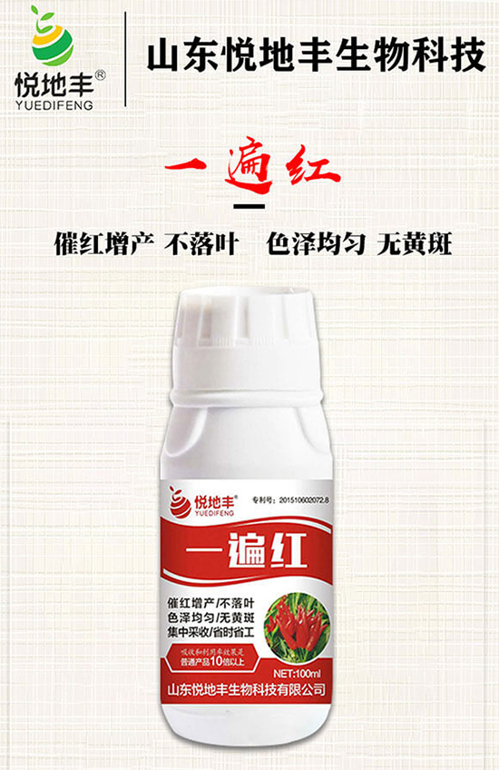 辣椒催紅措施怎么做？辣椒如何提前上市？辣椒催紅藥什么時候打好？