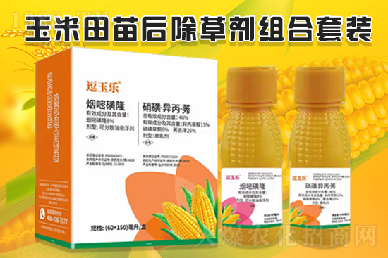 玉米除草效果差，什么原因？玉米除草劑怎么選？