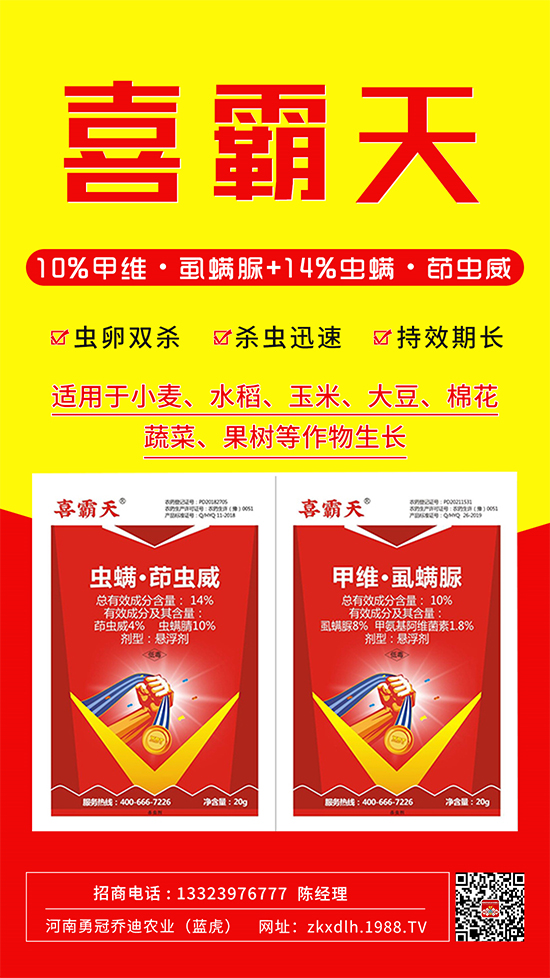 小菜蛾、菜青蟲危害重太難打？這樣用藥！一打一個準!