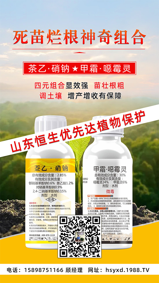 根腐、立枯、死苗爛根導(dǎo)致作物的“元兇”！這樣防治輕松搞定！