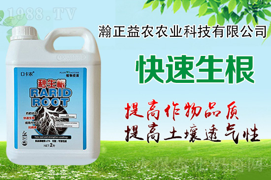作物根系決定作物產(chǎn)量！這樣做，根系發(fā)達(dá)，白根多，用肥少！