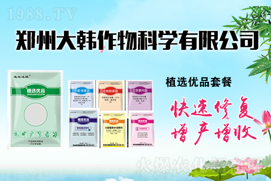 作物藥害肥害頻發(fā)怎么辦？發(fā)生藥害肥害如何補(bǔ)救？
