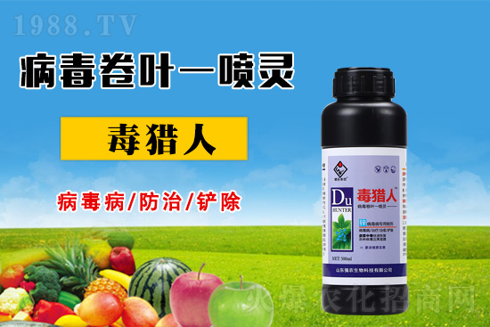 病毒病危害時期，怎么做好防治？