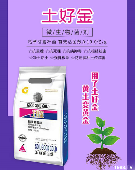 蔬菜死棵秧苗不長怎么辦？這樣防治輕松解決！