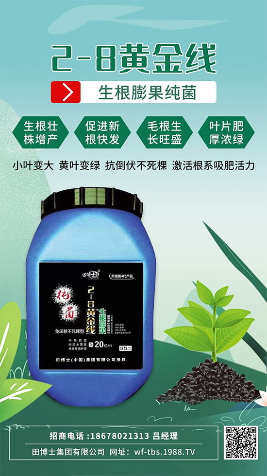 根是肥的嘴，萬物生長靠根系！作物爆發(fā)生根試試這一招! 