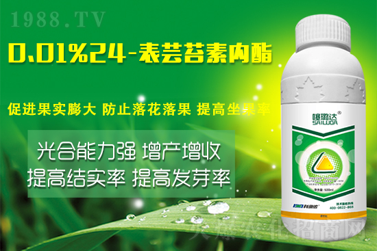 蕓苔素內酯竟然有這么多作用！這樣搭配解決膨果增產(chǎn)難題！