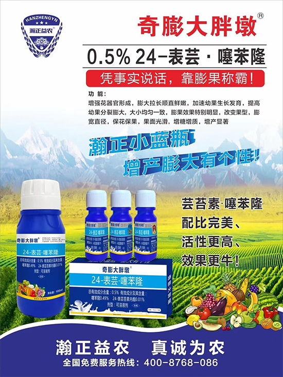     “作物要高產，膨果是關鍵！”果實膨大快、轉色好、賣相佳，后期的產量和品質才有。近來許多的果農菜農紛紛反映自家的作物坐不住果、膨果慢甚至不膨果，即便膨果，后期軟果空果等情況頻繁發(fā)生，