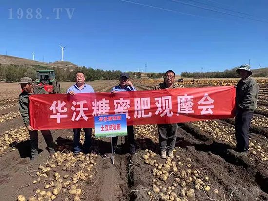     這款糖蜜肥農(nóng)資圈瘋傳！原料天然，低成本高肥效開(kāi)創(chuàng)者！