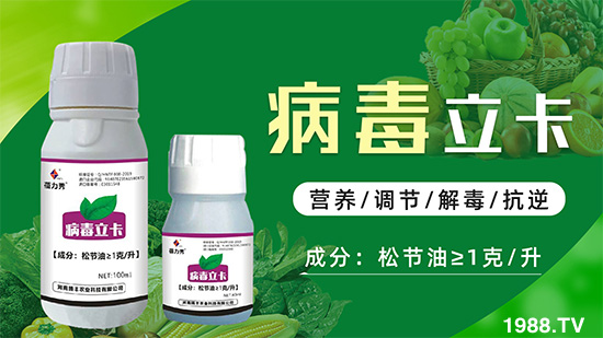 破解植物病毒防治難題！快速恢復(fù)生機！這個藥打上就管用！