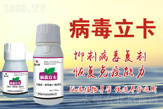 破解植物病毒防治難題！快速恢復(fù)生機！這個藥打上就管用！
