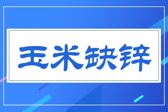 玉米缺鋅