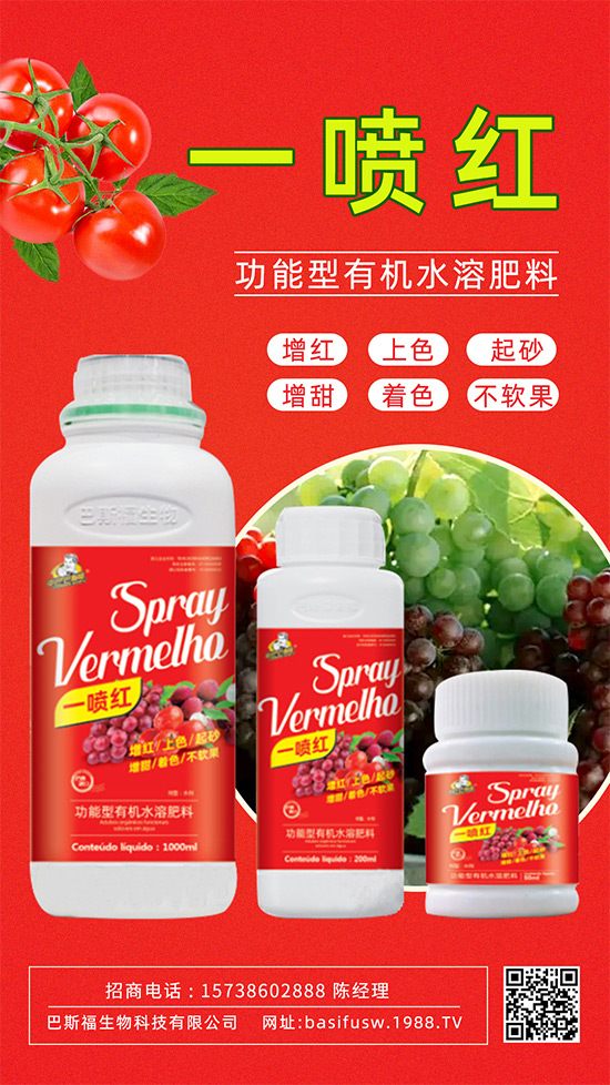 �����D(zhu��n)ɫ����������������������u�r������ǰ������