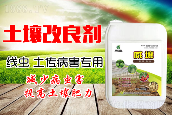 222������Y(ji��)���x������������(y��n)�أ�����һ�з�������