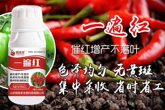辣椒為什么要增紅？辣椒增紅上色哪個牌子好？