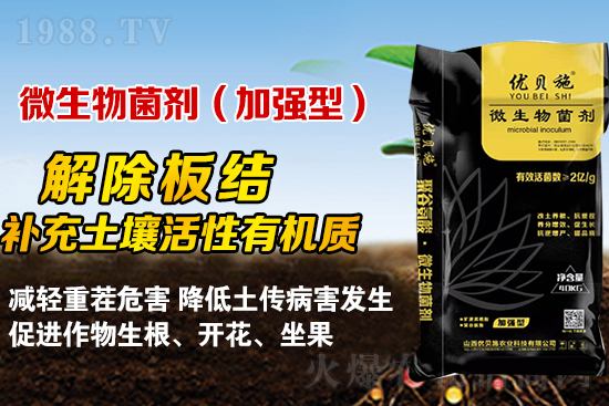 礦源黃腐酸鉀你了解多少？礦源黃腐酸鉀遇見微生物菌劑有啥奇妙反應(yīng)？
