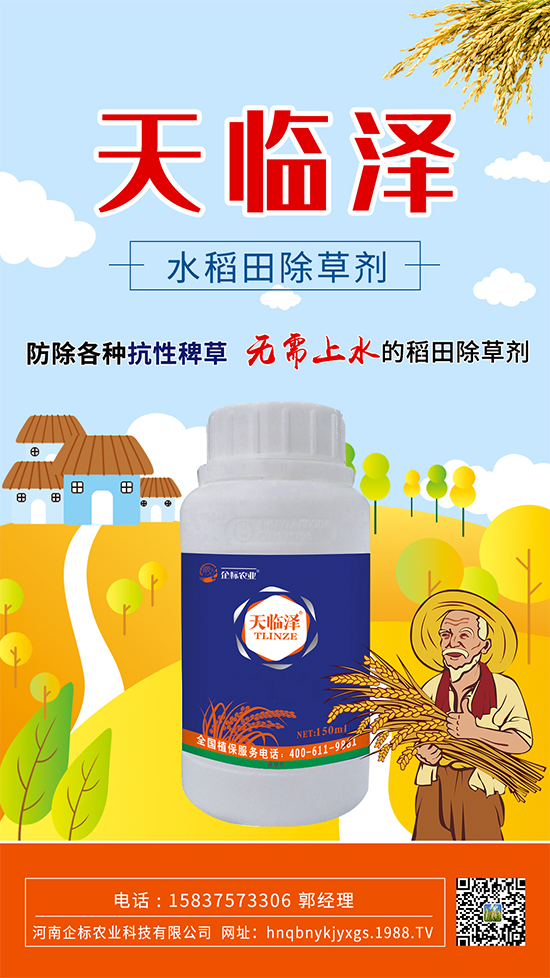 水稻田抗性稗草怎么防除？稻田青稗怎么用藥？